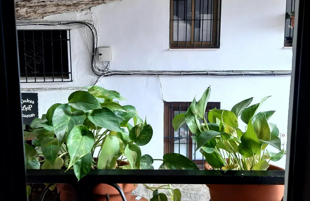 Casa Bajo la Roca-1